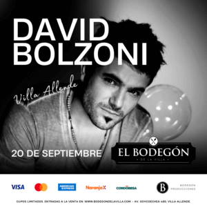 DAVID BOLZONI